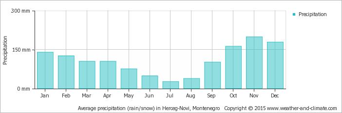 Average monthly precipitation over the year (rainfall, snow)