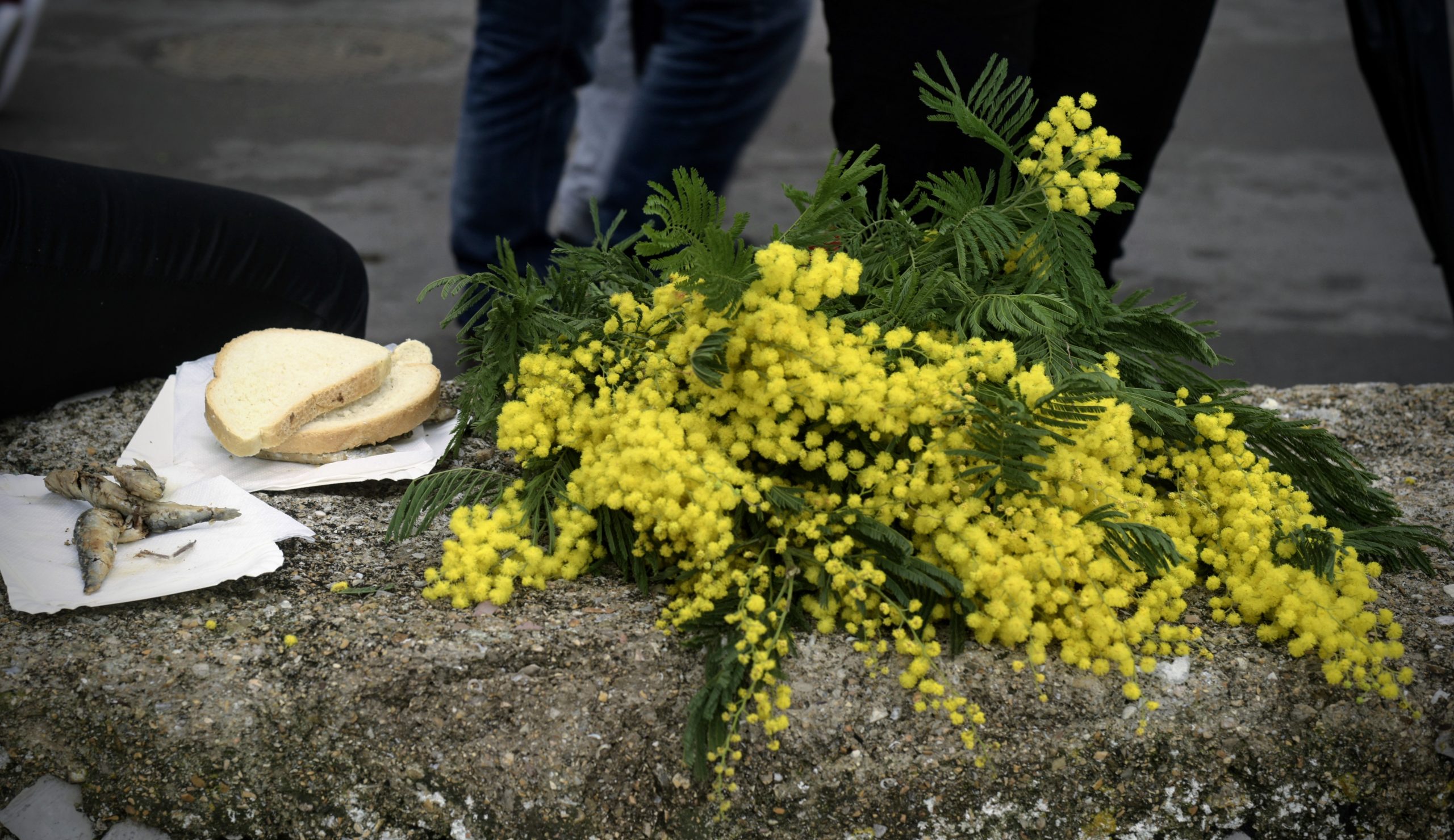 Praznik Mimoze, mimoza i riba