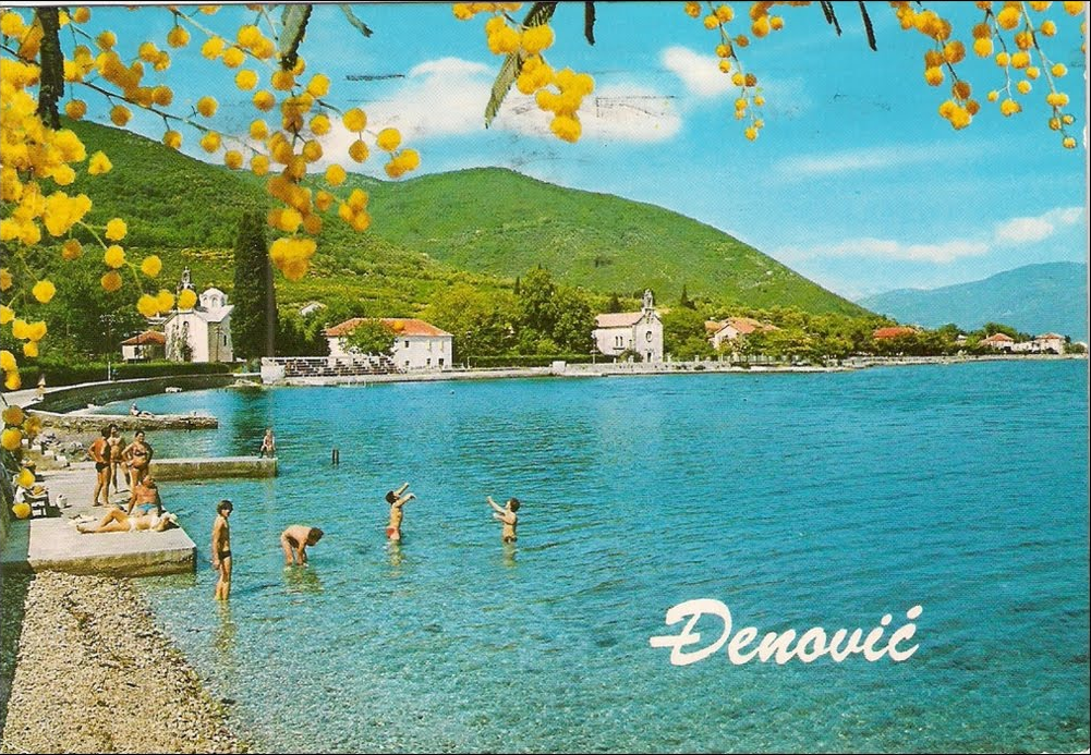 djenovici stara razglednica i dani mimoze