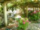 apartmani-fanfani-djenovic-crna-gora-letovanje