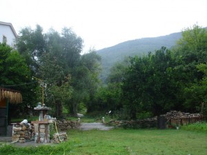 livada