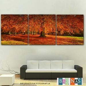 40x40cmX3 suma mol