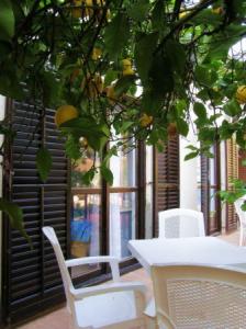 apartmani-djenovici-crna-gora-f37051d7b8    